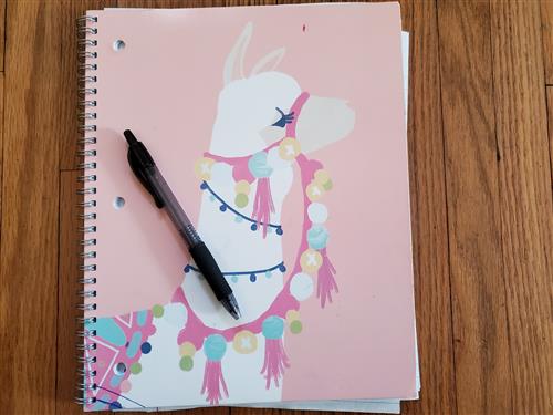 Llama notebook 